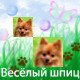 ���� ��� Vredinka, ����� - ��������� 2 ������� 2009 � ������ ���� ������ - ������ ��� �������� � �������
