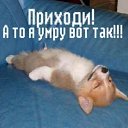 ���� �������, ������, 68 ��� - ��������� 22 ������� 2012 � ������ ���������