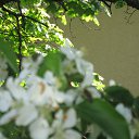 ���� ������, �����������, 55 ��� - ��������� 11 ������� 2012 � ������ ����� 2011�