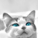 ���� �������, ������, 42 ���� - ��������� 27 ������ 2013 � ������ ���� ����������