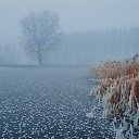 ���� �������, �����-���������, 40 ��� - ��������� 8 ������� 2012 � ������ �������