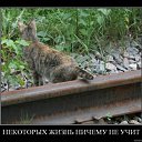 ���� Serega, ��������� - ��������� 30 ������� 2010 � ������ ��������������
