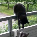 ���� �����, ������� - ��������� 29 ������ 2012 � ������ ���������
