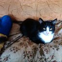 �������� �� ������� �������