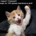 ���� �����, �����-��������� - ��������� 9 ���� 2013 � ������ ���� ����������