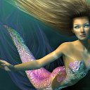 ���� �������, �������, 47 ��� - ��������� 13 ��� 2013 � ������ ���� ����������