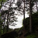  Serzh Van Der Maaremaan,  -  19  2010   ׸ 