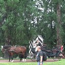 ���� ��������, ������, 43 ���� - ��������� 5 ������� 2011 � ������ �������� � �������� ��������