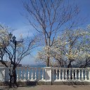 ����� �� ���������� �������� �����������, ���� 2013 �. �� ������� ���� ����������