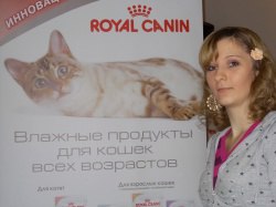 ����, ������, 37 ���