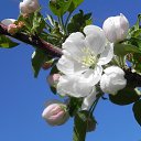 ���� �������, ������ - ��������� 7 ��� 2013 � ������ ���� ����������