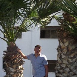 �������, �����, 54 ����