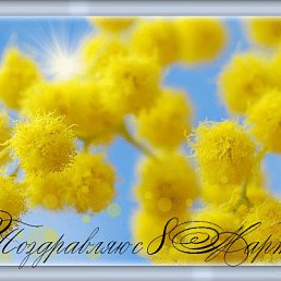 ���� �������, ������ - ��������� 7 ��� 2013