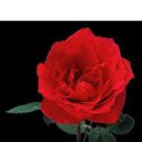 ���� ���, �������, 33 ���� - ��������� 1 ������� 2010 � ������ �~�����~�