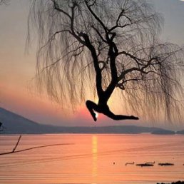 ���� ���������, ������, 46 ��� - ��������� 8 ������� 2010