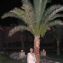 ���� ���������, �����, 68 ��� - ��������� 19 ������� 2012 � ������ ���� ����������