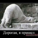 ���� ������, ������� - ��������� 8 ������ 2011 � ������ ������ ��� �����...�