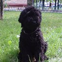 ���� Vova, ������ - ��������� 19 ������� 2010 � ������ �������