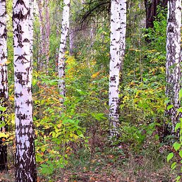 ���� �����, ������ - ��������� 10 ������� 2012