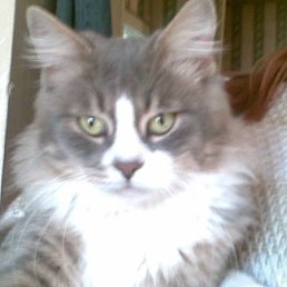 ���� ������, �����������, 53 ���� - ��������� 24 ����� 2013