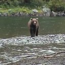 ���� ��������, ���������, 70 ��� - ��������� 15 ����� 2013 � ������ �� ������ � ��������� �����