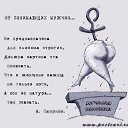 ���� �@�@, ������, 39 ��� - ��������� 5 ������� 2011 � ������ ���� ����������