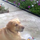 ���� Natali Charming, �����, 53 ���� - ��������� 6 ���� 2013 � ������ ���� ����������