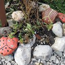 ���� ���������, ���������� - ��������� 23 ������� 2010 � ������ ���� ������