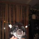 ���� �����, ������, 59 ��� - ��������� 3 ������� 2011 � ������ �PetLove�