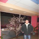  Dimon, , 40  -  11  2012   