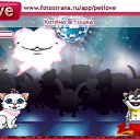 ���� Anna, ������ - ��������� 24 ������� 2010 � ������ �PetLove�
