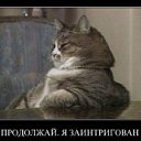 ���� ������ �, ��������, 49 ��� - ��������� 8 ���� 2012 � ������ �������