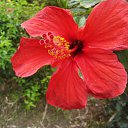 ���� ����, ������, 50 ��� - ��������� 21 �������� 2011