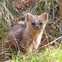 ���� ����, ������, 22 ���� - ��������� 20 ��� 2013 � ������ ���� ����������