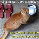   ( -        ,  -  27  2010      