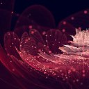 ���� ������, ������ - ��������� 10 ������� 2013 � ������ ��������� ������