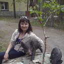 ���� ����, ���������, 48 ��� - ��������� 1 ������� 2013 � ������ ���� ����������