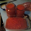 ���� ����������, ���������, 48 ��� - ��������� 28 ��� 2011 � ������ ��� �������