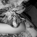 ���� ), ���, 33 ���� - ��������� 11 ������ 2013 � ������ �)))�