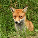 ���� "@����", �����-���������, 25 ��� - ��������� 6 ���� 2010 � ������ ��������-���������