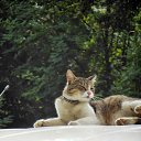 ���� �������... �� ������� ����λ