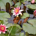 ���� ������, �����-���������, 64 ���� - ��������� 3 �������� 2012 � ������ �������