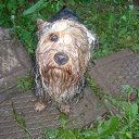 ���� �������, ������, 52 ���� - ��������� 15 ������ 2013 � ������ ���� ����������