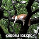 ���� �����, �������, 56 ��� - ��������� 3 ���� 2011 � ������ �����