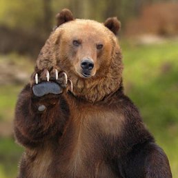 ����� ���������, ������������, 49 ���