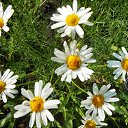 ������� ������� �� ������� ����λ