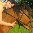 ���� �������, ���������, 38 ��� - ��������� 4 ���� 2012 � ������ ���� ����������