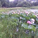 ���� ������, ������, 59 ��� - ��������� 23 ���� 2012 � ������ �������