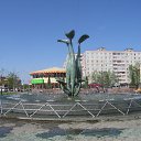  D.s., , 38  -  7  2013    2008, //ֻ