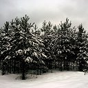 ���� �����, ������, 43 ���� - ��������� 27 ������� 2013 � ������ ���� ����������